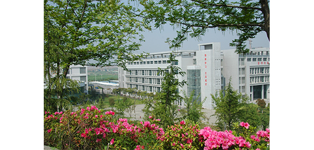 我的大學(xué)-大學(xué)志