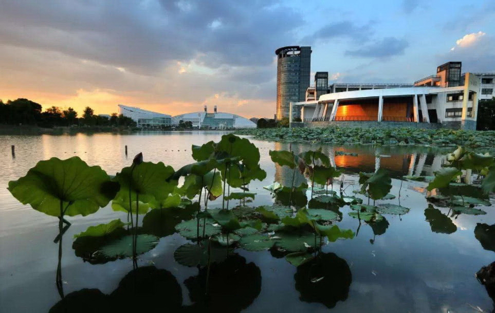 浙江大學 早安青春