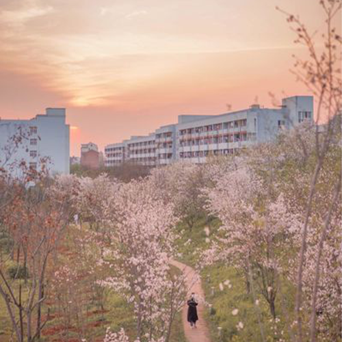 杭州師范大學-大學文化