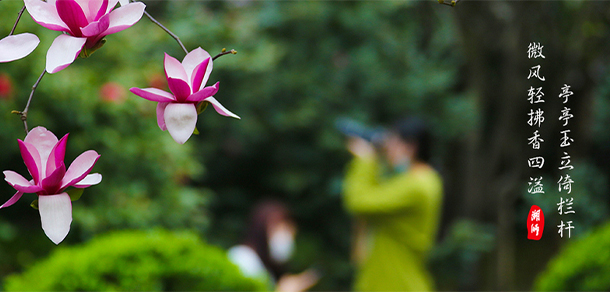 湖州師范學院 - 最美大學