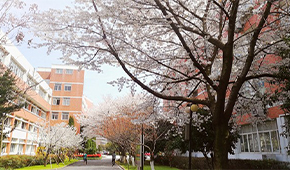 浙江機電職業(yè)技術(shù)大學-校園風光