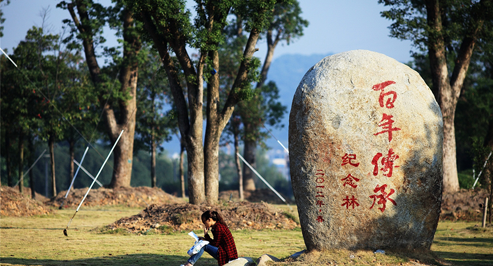 「 青春永不散場(chǎng) 」