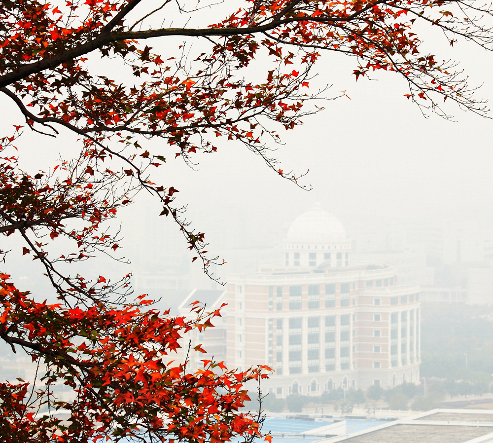 溫州醫(yī)科大學 我的大學