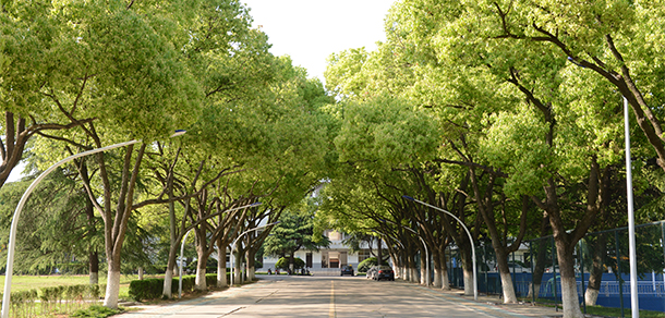 我的大學-大學志