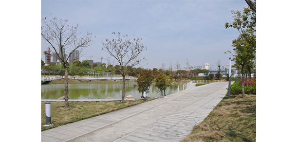 安徽體育運動職業(yè)技術(shù)學(xué)院