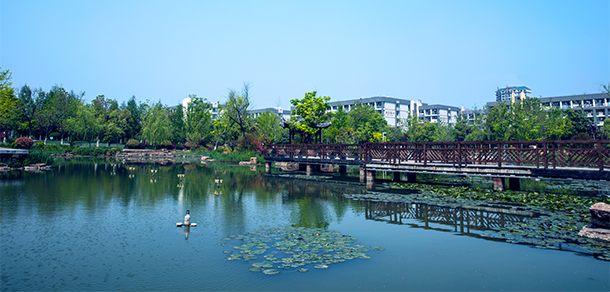 安徽國際商務(wù)職業(yè)學(xué)院 - 最美院校