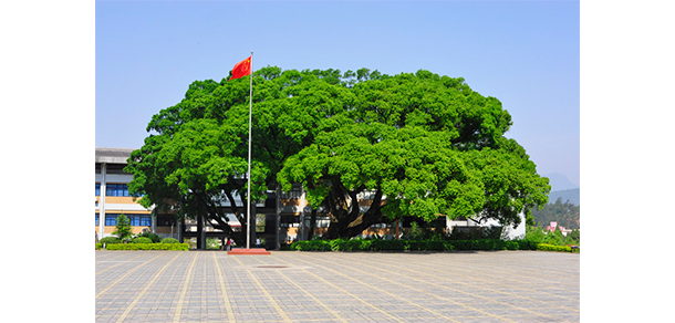 龍巖學(xué)院 - 最美大學(xué)