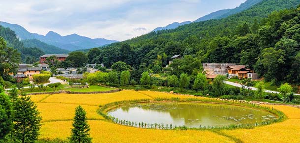 和君職業(yè)學(xué)院 - 最美院校