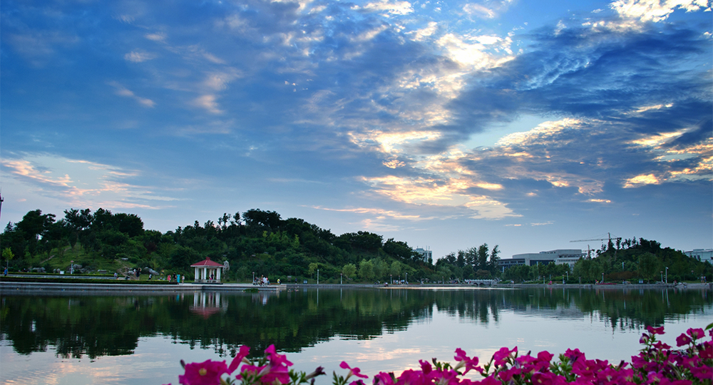 山東理工大學(xué) 校園文化