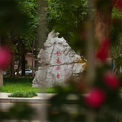 大學(xué)簡(jiǎn)介