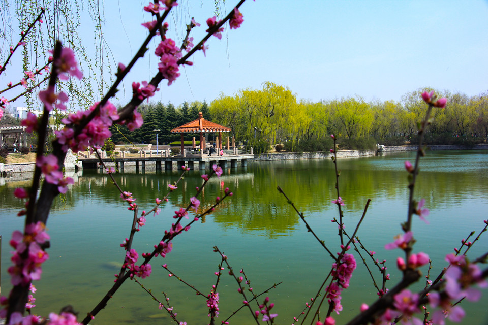 青島農(nóng)業(yè)大學-校園風景