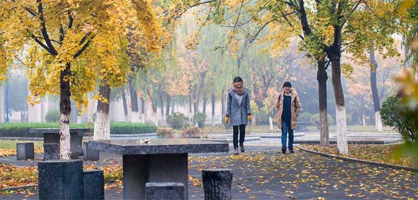 山東中醫(yī)藥大學 - 最美院校