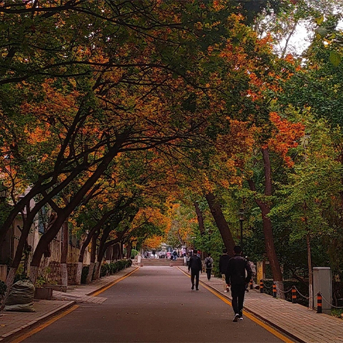 山東師范大學(xué) - 追求卓越，逐光前行