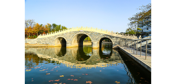 聊城大學(xué) - 最美大學(xué)