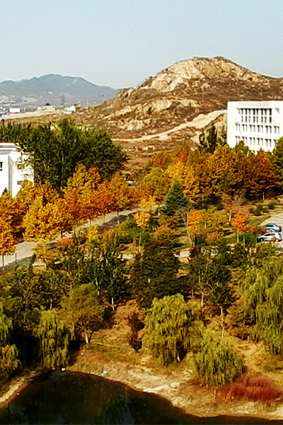 泰山學院