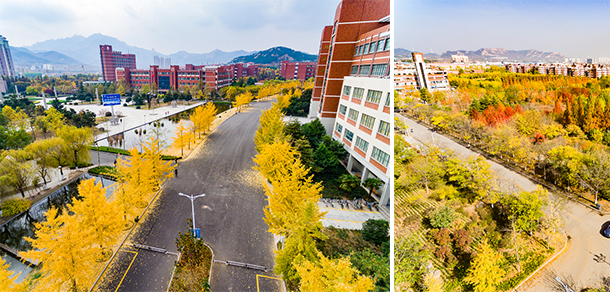 山東科技大學