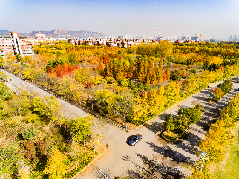 山東科技大學(xué) 我的大學(xué)