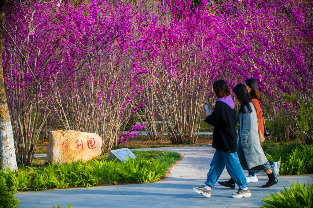 煙臺大學 - 院校概況