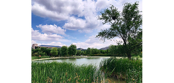 山東警察學(xué)院 - 最美大學(xué)