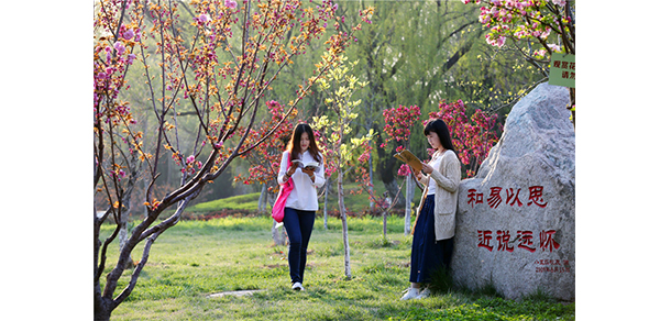 山東工商學(xué)院 - 最美大學(xué)