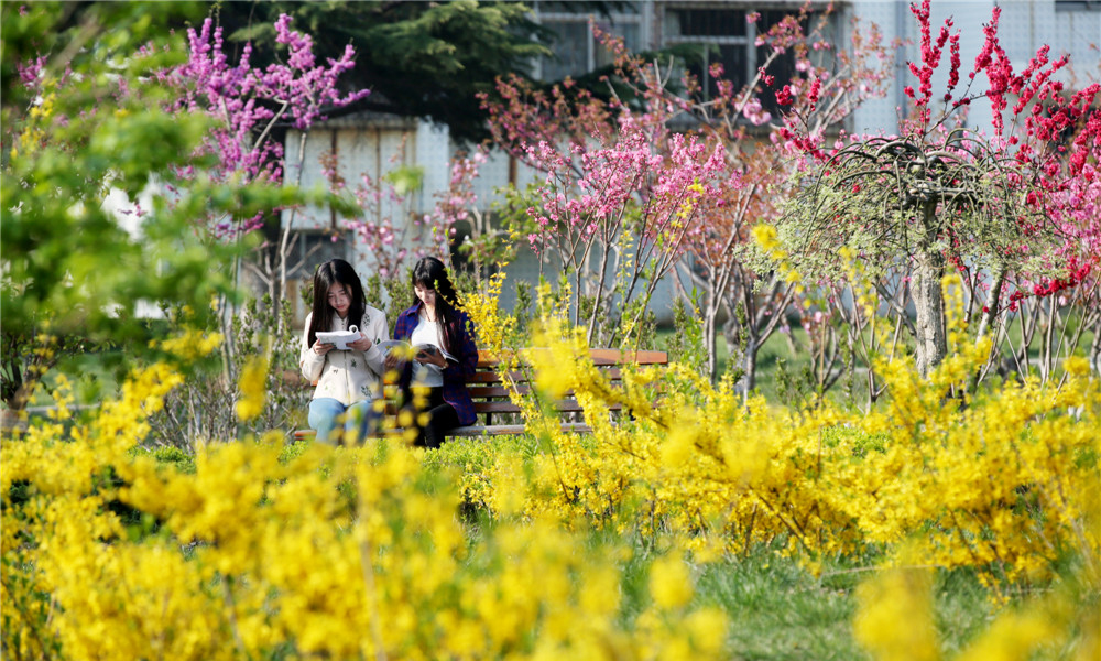 山東工商學(xué)院 校園文化