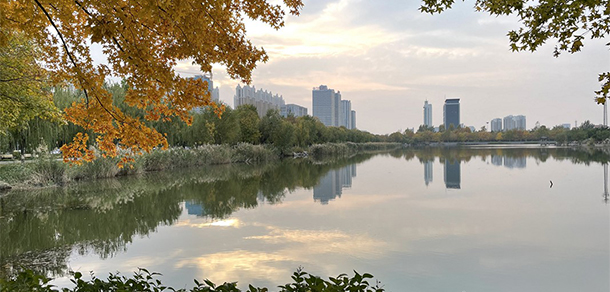 山東石油化工學院 - 最美大學