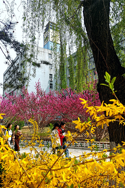 濟南大學(xué)