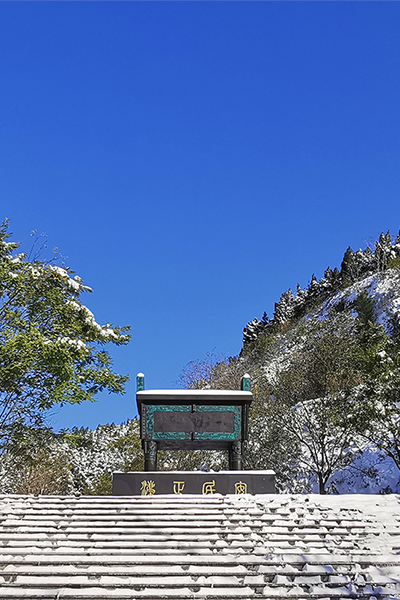 山東政法學院