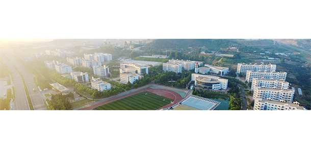 我的大學-大學志