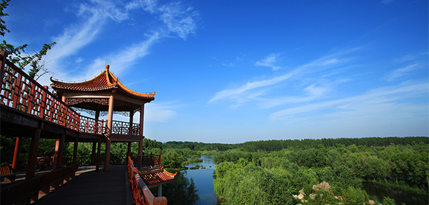 山東經(jīng)貿(mào)職業(yè)學院 - 最美大學