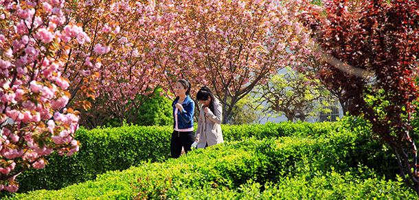 山東經(jīng)貿(mào)職業(yè)學院 - 最美大學