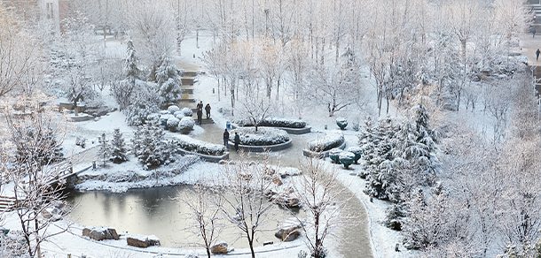 山東職業(yè)學(xué)院 - 最美大學(xué)