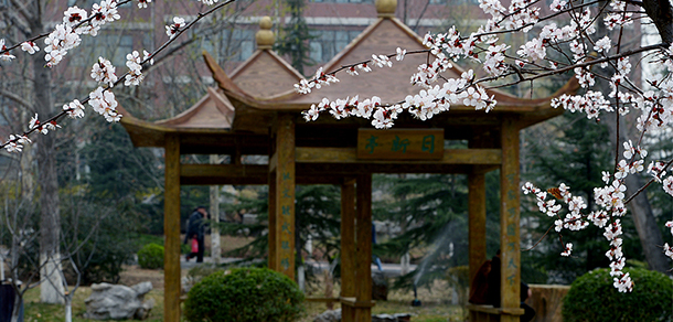 山東職業(yè)學(xué)院 - 最美大學(xué)