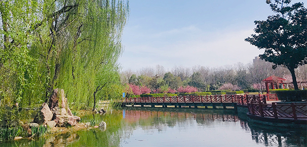 河南師范大學 - 最美大學