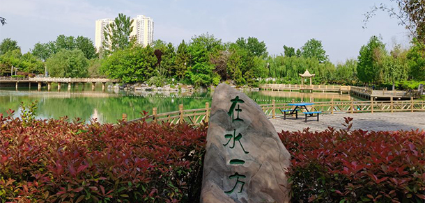 我的大學(xué)-大學(xué)志