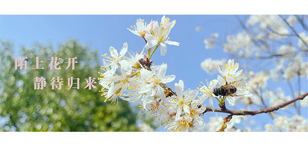 湖南工程學(xué)院應(yīng)用技術(shù)學(xué)院 - 最美院校