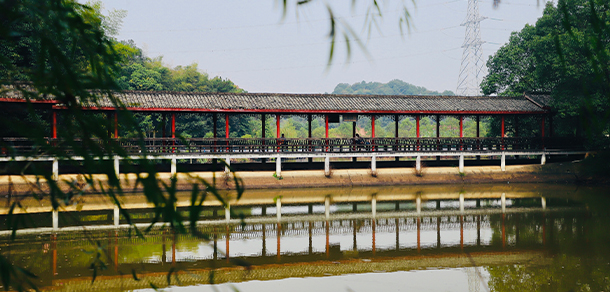 湖南信息學(xué)院 - 最美大學(xué)