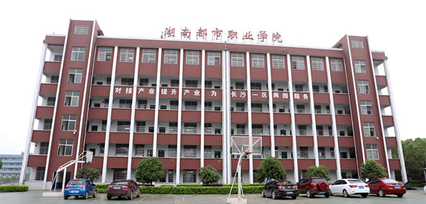 我的大學(xué)-大學(xué)志