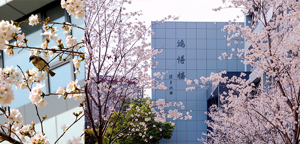 湖北商貿學院 - 最美大學