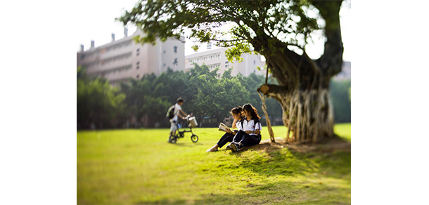 五邑大學(xué) - 最美大學(xué)