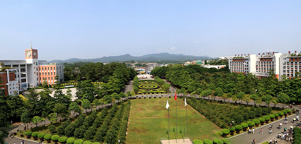 我的大學-大學志