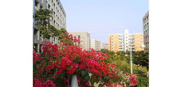 北京理工大學(xué)珠海學(xué)院 - 最美大學(xué)