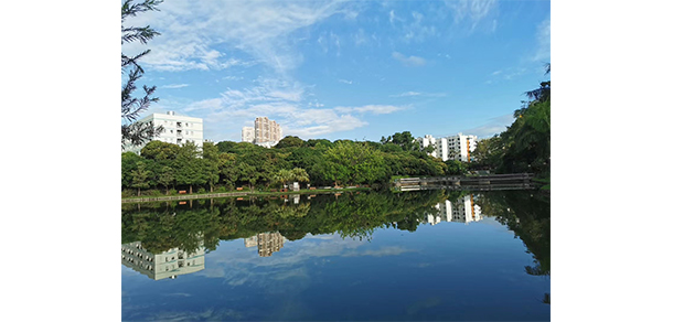 深圳職業(yè)技術(shù)大學(xué) - 最美大學(xué)