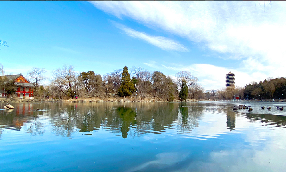 北京大學(xué) 校園文化