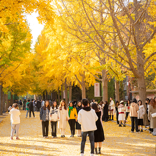 我的大學