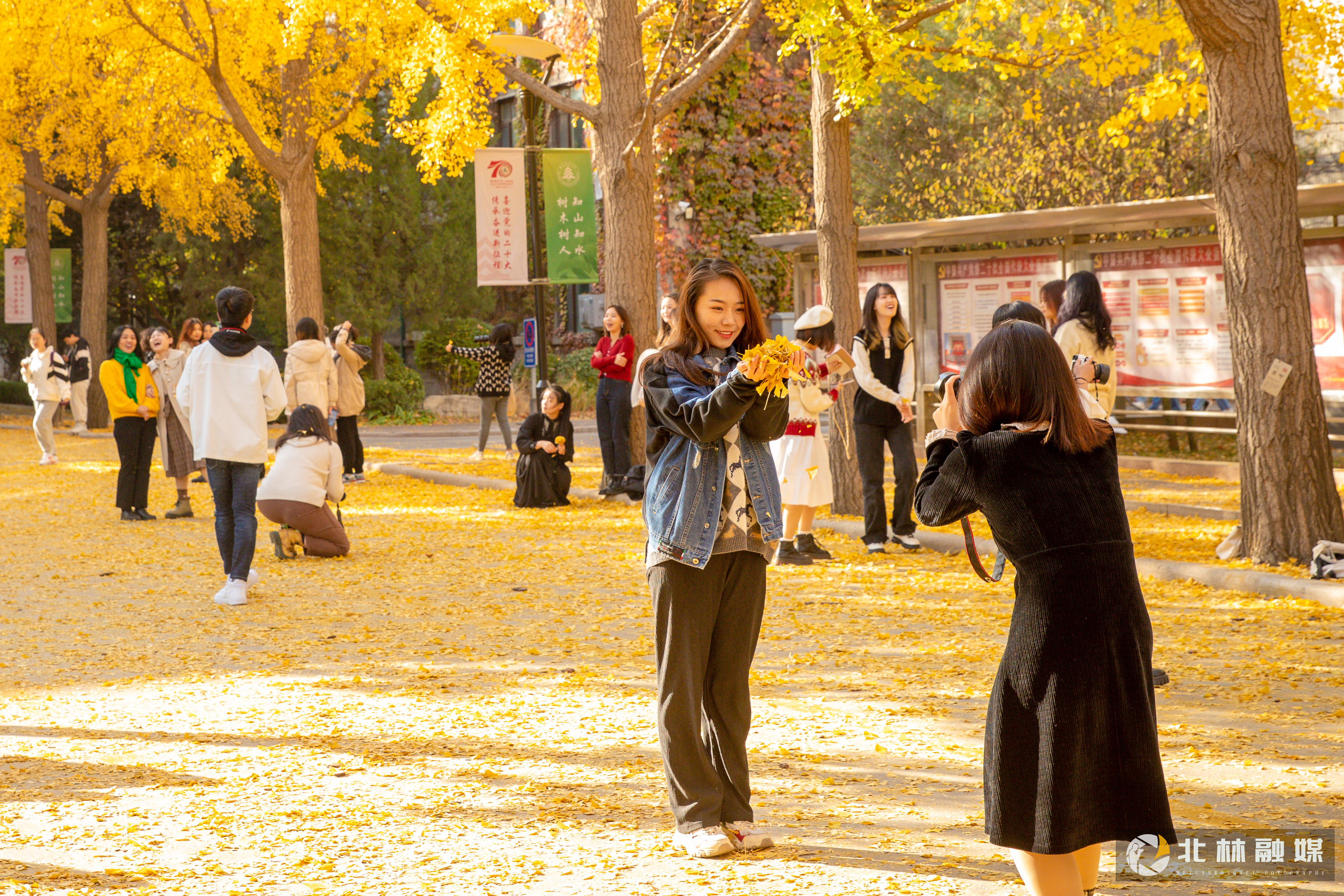 北京林業(yè)大學 早安青春