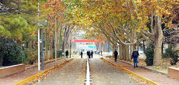 北京師范大學 - 最美大學