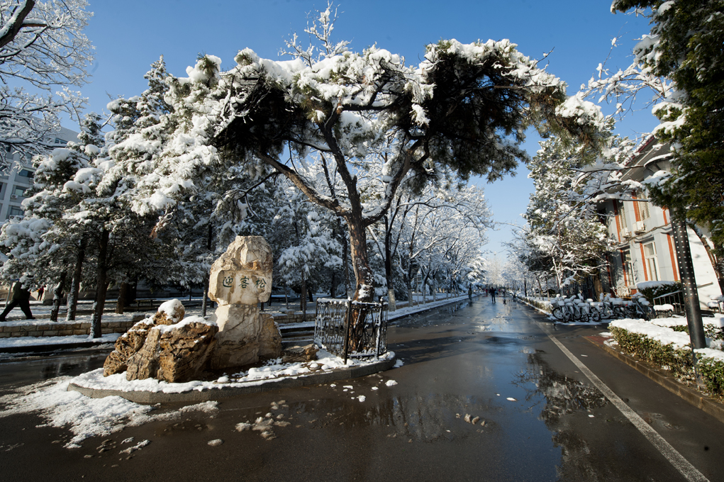 北京交通大學 早安青春