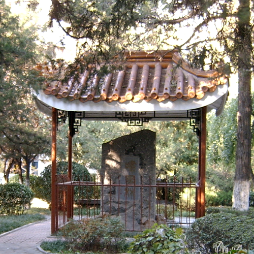 我的大學(xué)