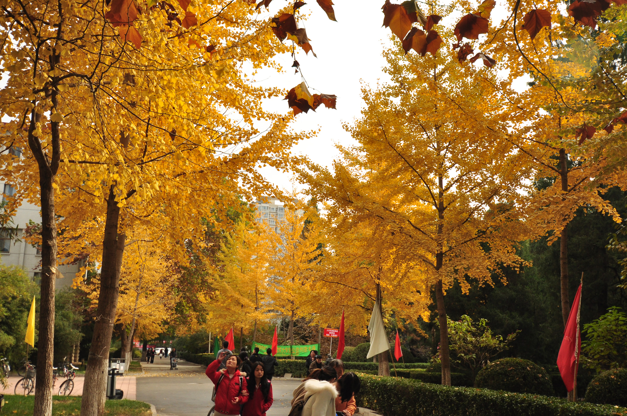 中國勞動關(guān)系學(xué)院-校園風(fēng)景